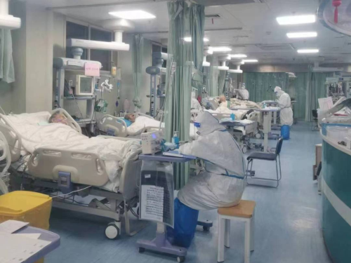 image005.png image005.png