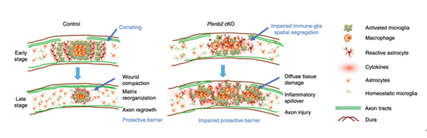 QQ截图20200525144242_副本.png QQ截图20200525144242_副本.png
