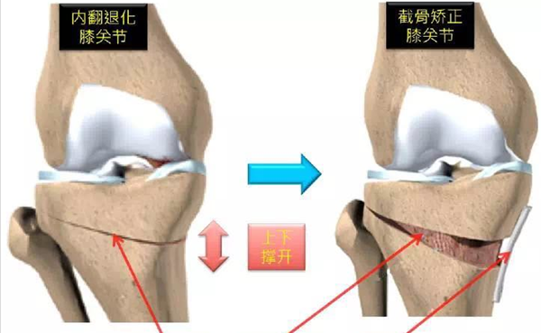 图片1_副本.png 图片1_副本.png