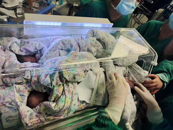 图片1_副本.png 图片1_副本.png