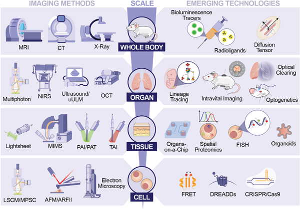 图片2_副本.png 图片2_副本.png