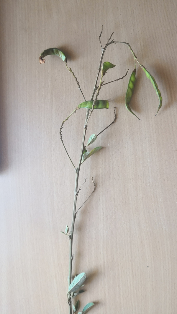 微信图片_20190108164651_副本.jpg 微信图片_20190108164651_副本.jpg