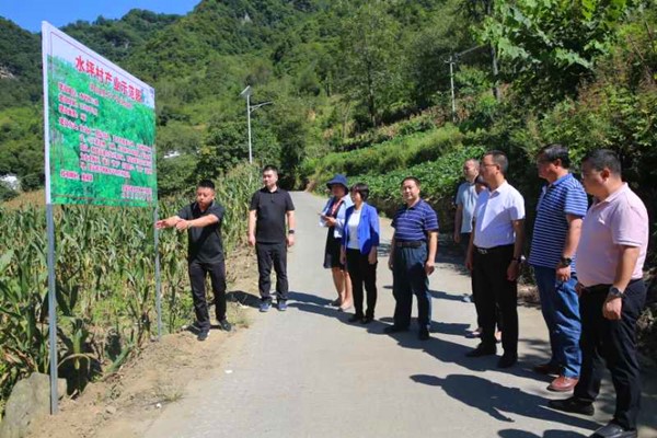 webwxgetmsgimg (11)_副本.jpg webwxgetmsgimg (11)_副本.jpg