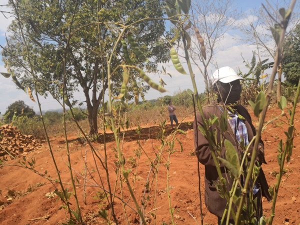 微信图片_20190108164648_副本.jpg 微信图片_20190108164648_副本.jpg