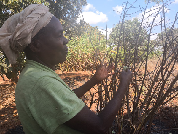 微信图片_20190108164644_副本.jpg 微信图片_20190108164644_副本.jpg