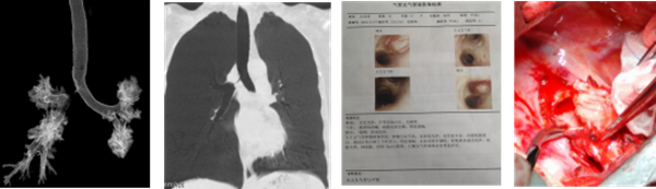 图片1_副本.png 图片1_副本.png