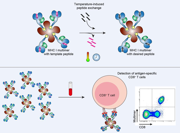 QQ截图20180619092731_副本.jpg QQ截图20180619092731_副本.jpg
