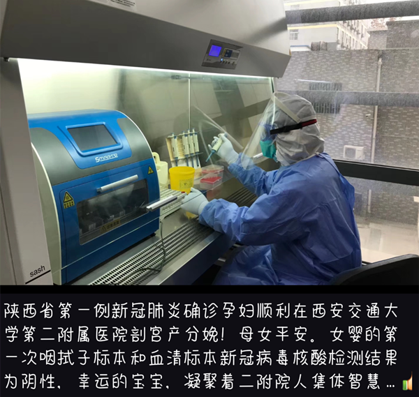 图五_副本.png 图五_副本.png