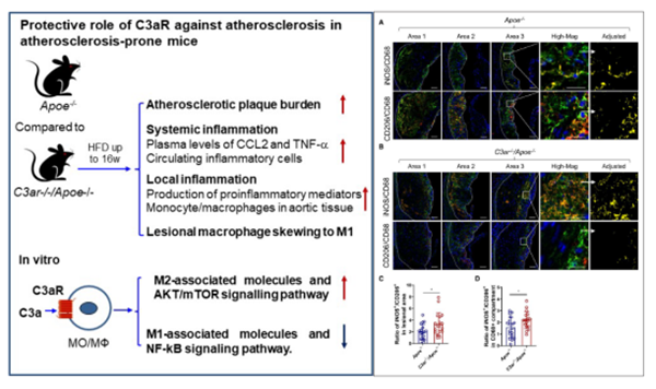 QQ截图20200903094459_副本.png QQ截图20200903094459_副本.png