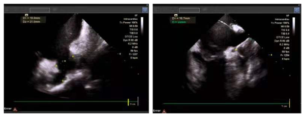 1图片24_副本.png 1图片24_副本.png