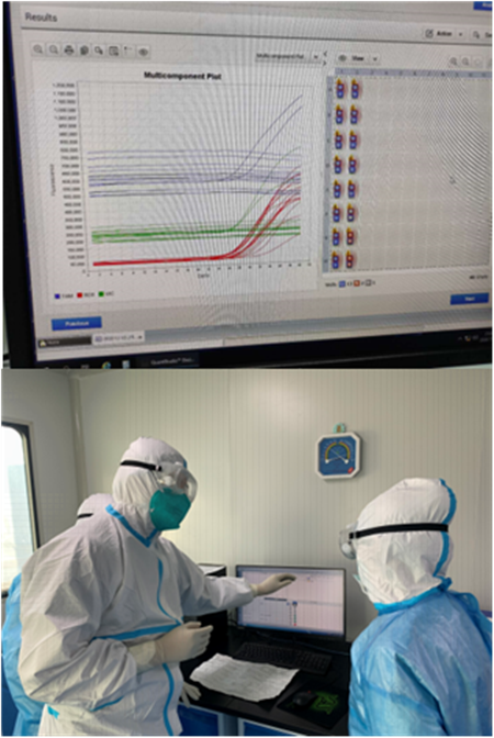 判读实验结果_副本.png 判读实验结果_副本.png