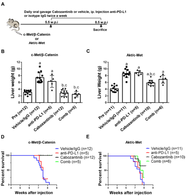 图片2_副本.png 图片2_副本.png
