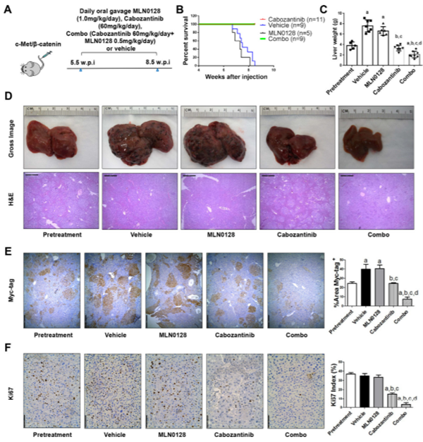 图片1_副本.png 图片1_副本.png