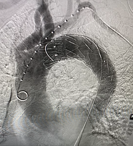 图片1_副本.png 图片1_副本.png