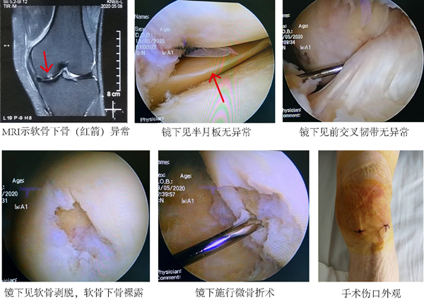 图片2_副本.png 图片2_副本.png