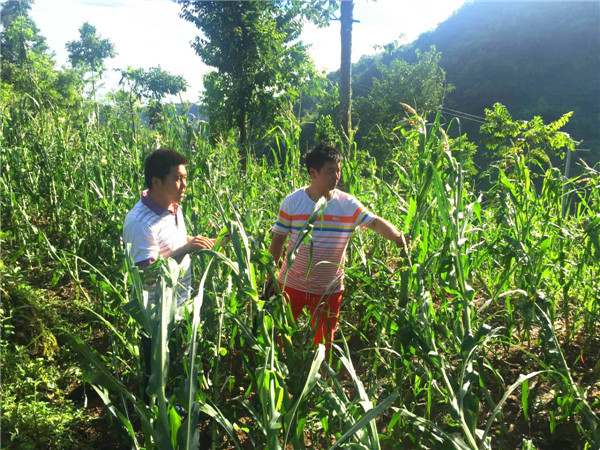 微信图片_20170714134930.jpg 微信图片_20170714134930.jpg