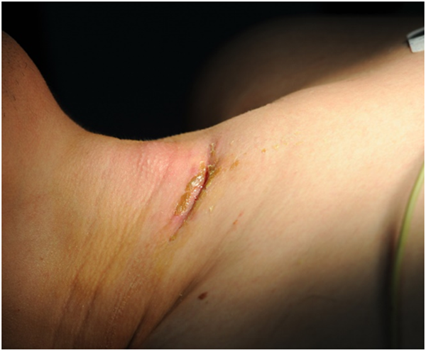 1512009265.png 1512009265.png