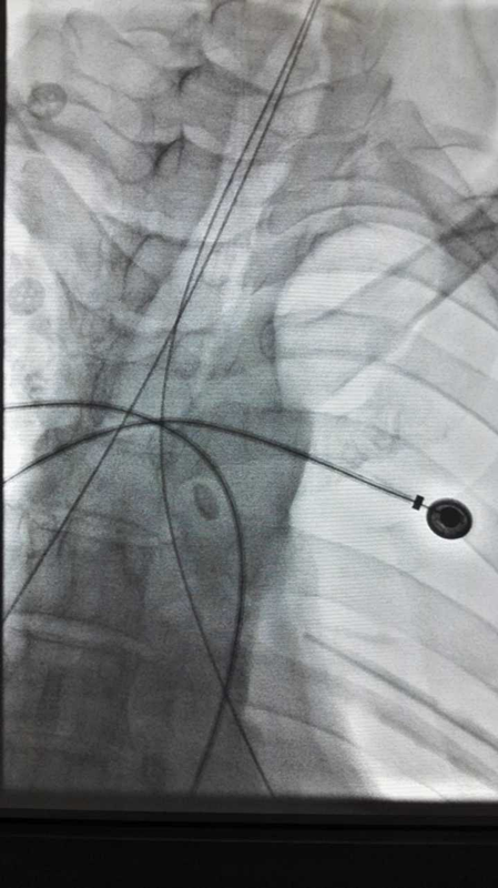 1_副本.png 1_副本.png