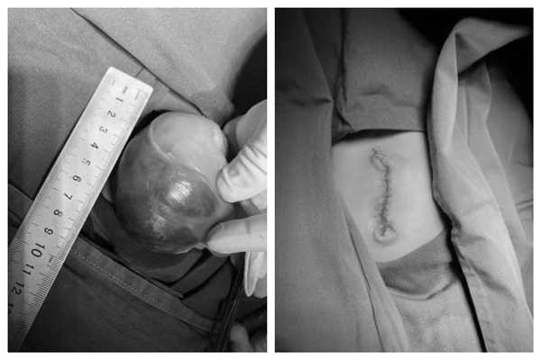 1图片1_副本.png 1图片1_副本.png