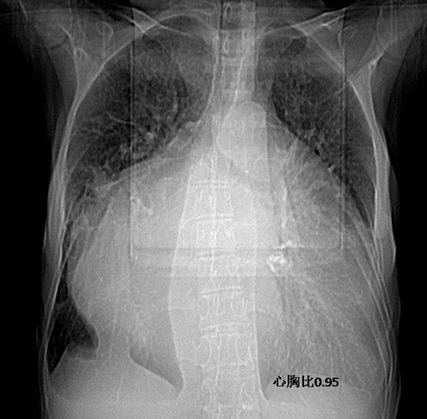 图一_副本.jpg 图一_副本.jpg