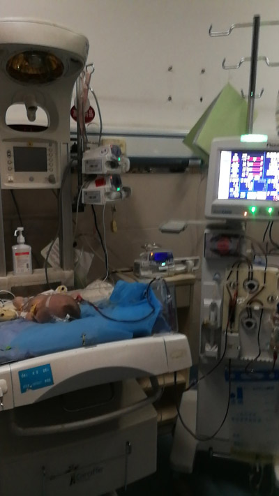 wx_camera_1518084947132.jpg wx_camera_1518084947132.jpg