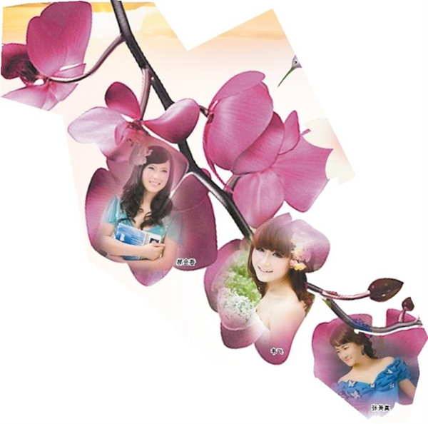 图片1_副本.png 图片1_副本.png