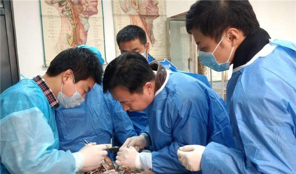 16学员医生做颈椎实体解剖_副本.jpg