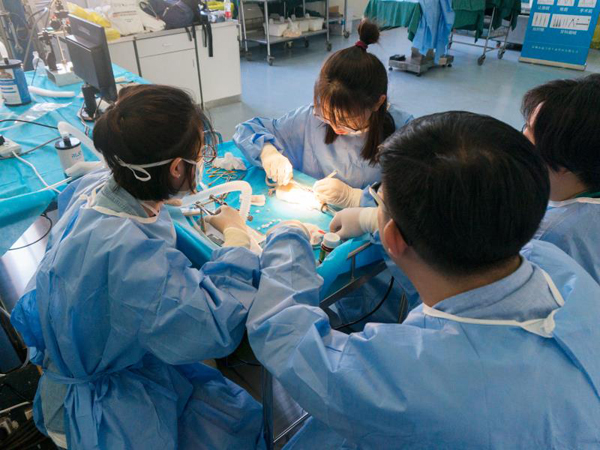 学员们练习操作制作模型.jpg 学员们练习操作制作模型.jpg