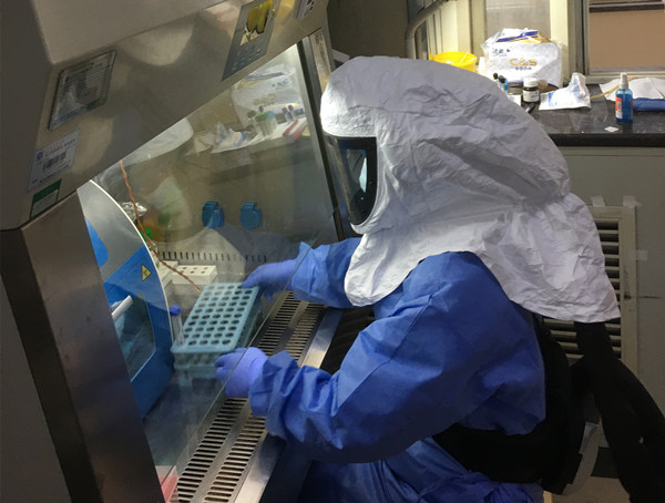 图二_副本.jpg 图二_副本.jpg