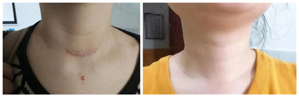 微信图片_20210611092332_副本.jpg 微信图片_20210611092332_副本.jpg