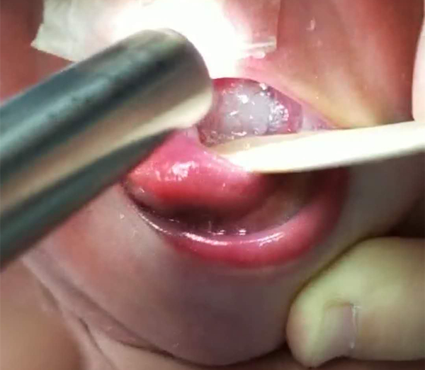 0425_1_副本.jpg 0425_1_副本.jpg