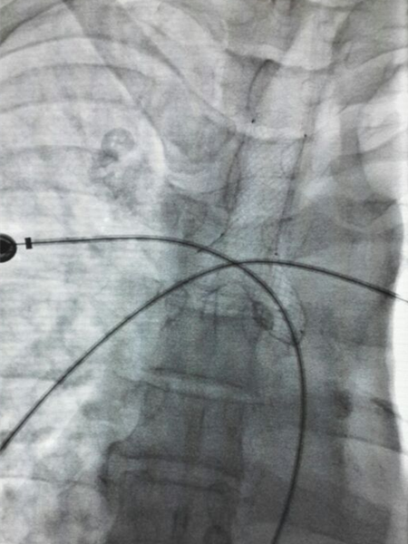 4_副本.png 4_副本.png