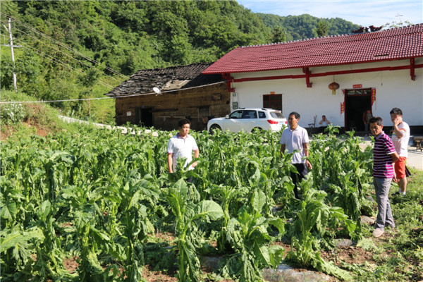 IMG_4821.JPG IMG_4821.JPG