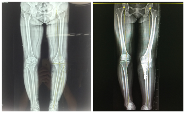 图片2_副本.png 图片2_副本.png