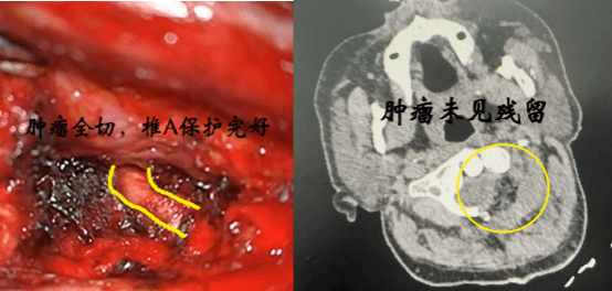 图片9.png 图片9.png