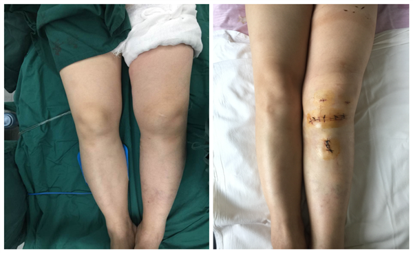 图片4_副本.png 图片4_副本.png