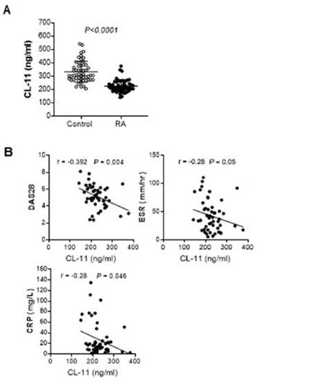 图3_副本.jpg 图3_副本.jpg
