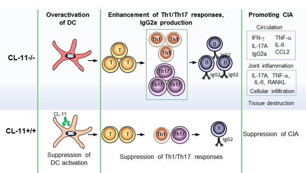 图2_副本.jpg 图2_副本.jpg